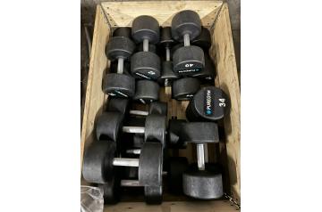 LOT10 - PUREGYM DUMBBELL & BARBELL SETS - BELGIUM COLLECTION